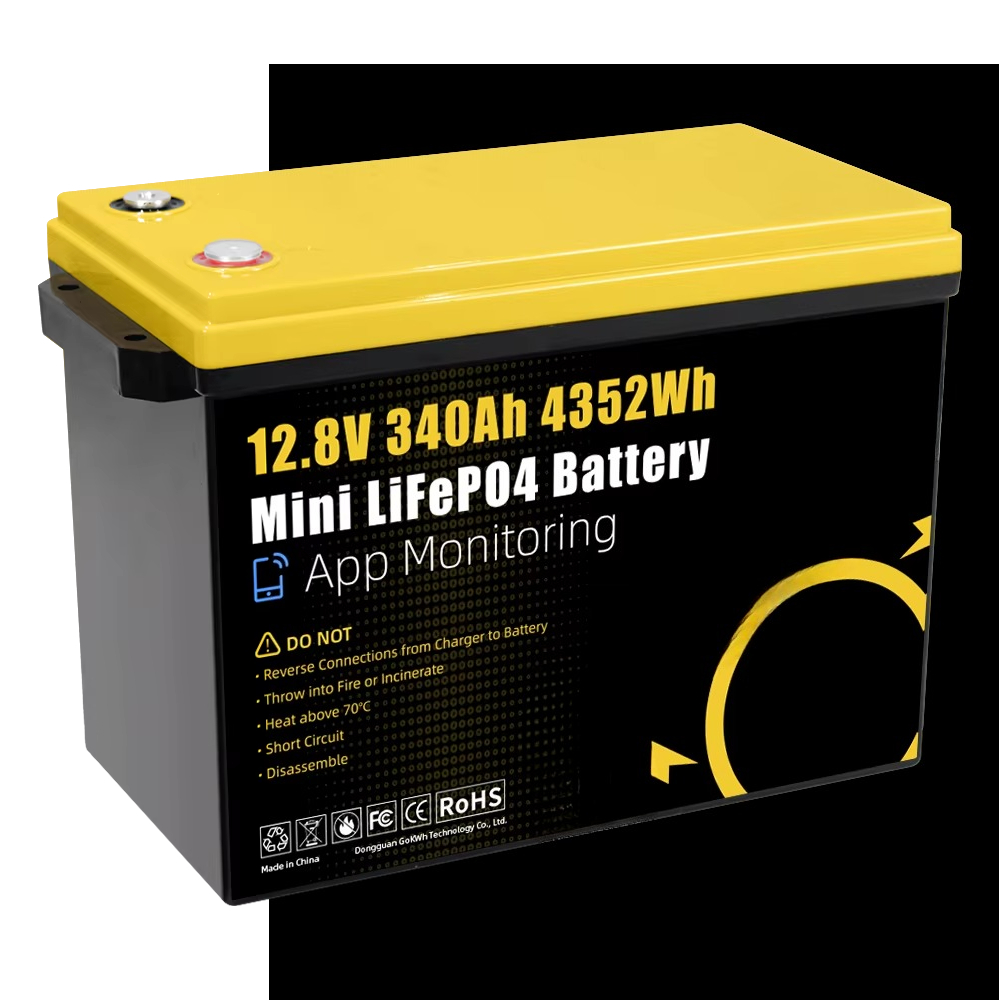 GoKWh Marine 12v Lifepo4 Bater - Lifepo4 Battery 24V 200Ah avaliação e preço