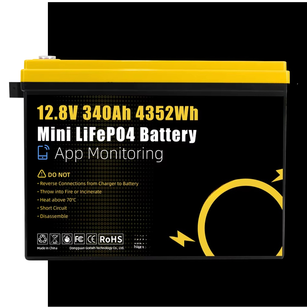 GoKWh Marine 12v Lifepo4 Bater - Lifepo4 Battery 24V 200Ah avaliação e preço