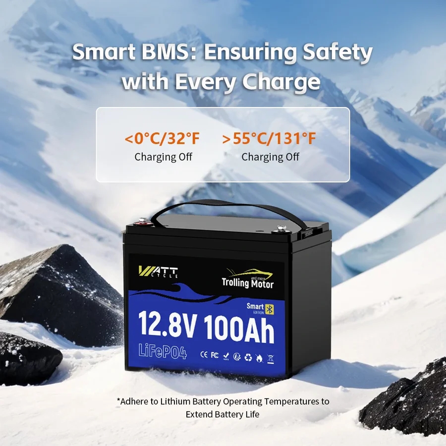 Bateria LiFePO4 Wattcycle 12.8 - 12V 100Ah Lifepo4 Bluetooth Bms avaliação e preço