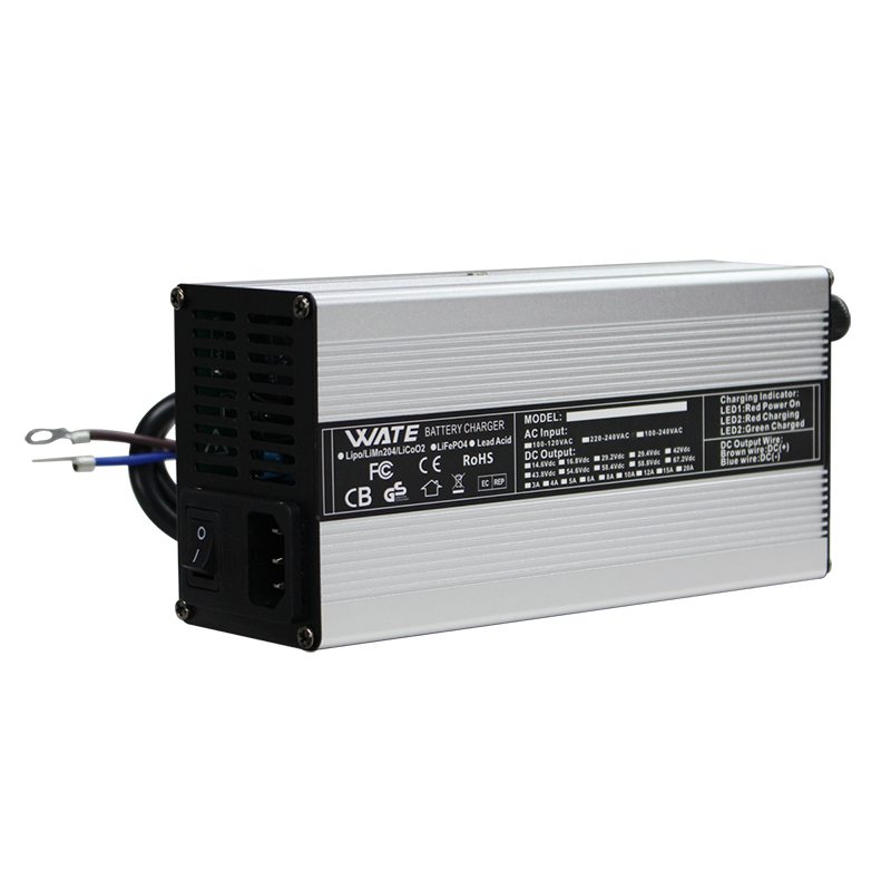 Usd do carregador de bateria d - Lifepo4 Charger 48V 20A avaliação e preço