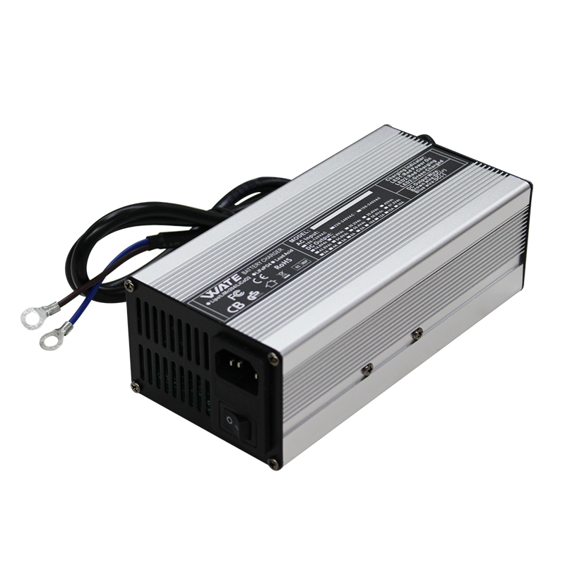 Usd do carregador de bateria d - Lifepo4 Charger 48V 20A avaliação e preço
