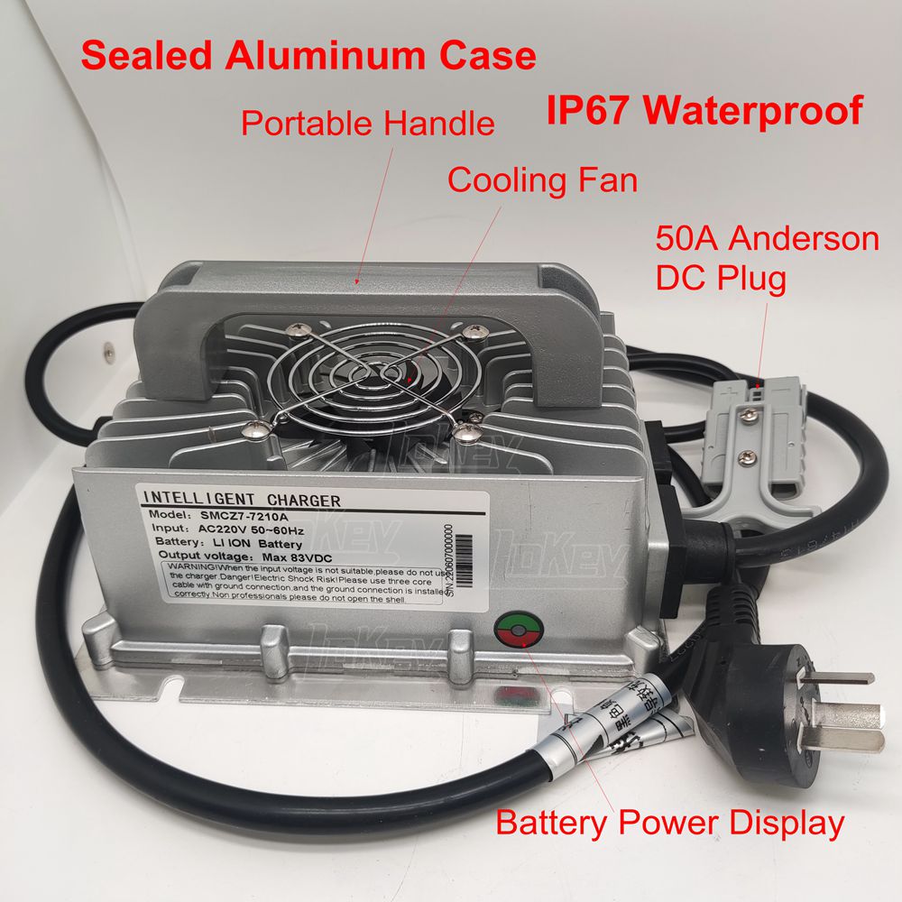 1500w 12v 24v 36v 48v 60v 72v  - Lifepo4 Charger 48V 20A avaliação e preço