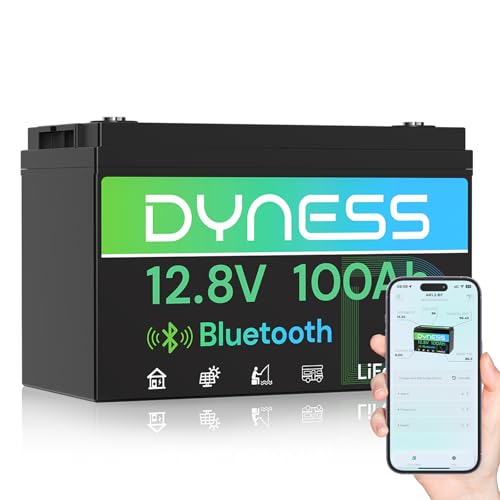 Bateria LiFePO4 Bluetooth 12V  - 12V 100Ah Lifepo4 Bluetooth Bms avaliação e preço