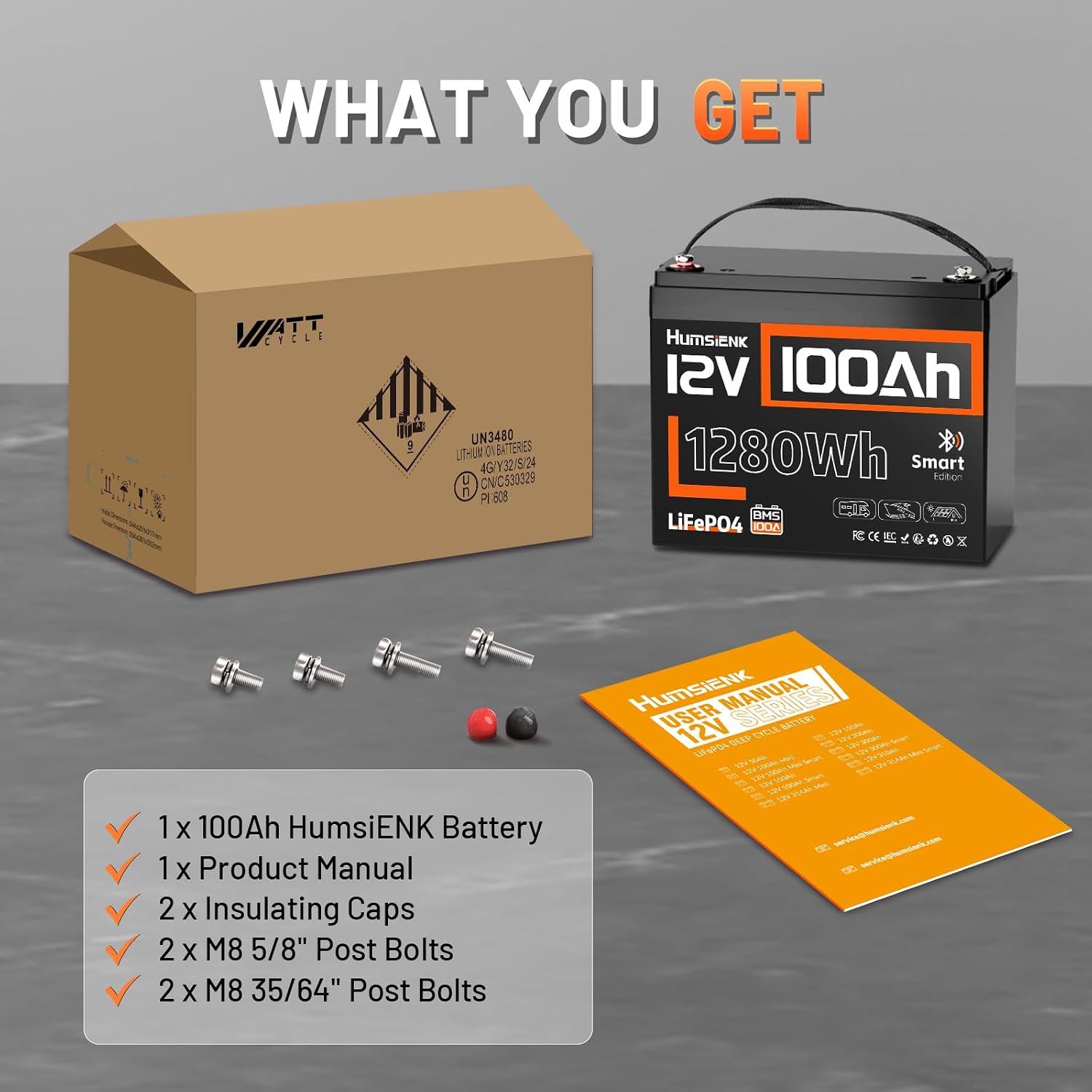 Bateria de lítio LiFePO4 de 12 - 12V 100Ah Lifepo4 Bluetooth Bms avaliação e preço