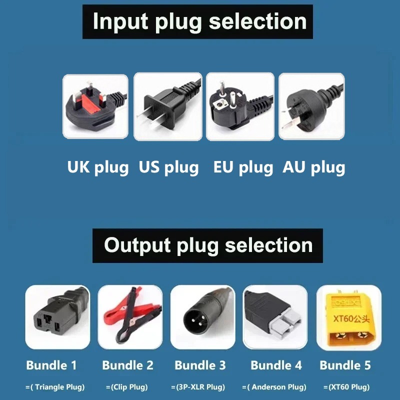 Carregador de bateria de lítio - Lifepo4 Charger 48V 20A avaliação e preço