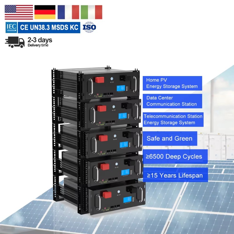 48V 100Ah 200Ah 300Ah 5KWH 10K - Lifepo4 48V 100Ah Server Rack avaliação e preço