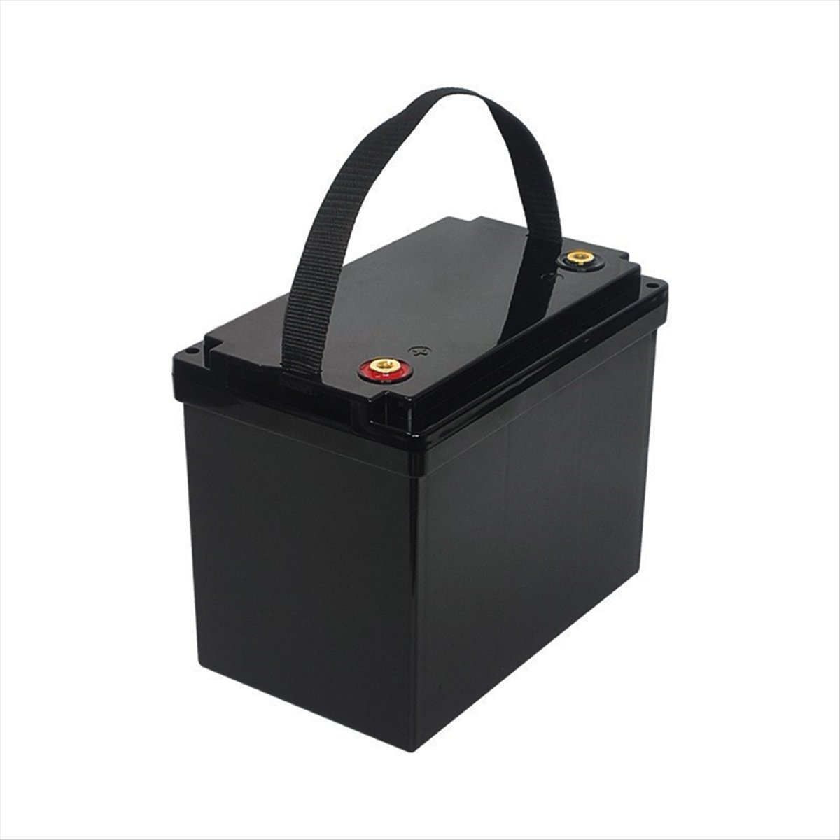 Caixa de Armazenamento DT32/12 - Lifepo4 Battery Box Diy 12V 100Ah avaliação e preço